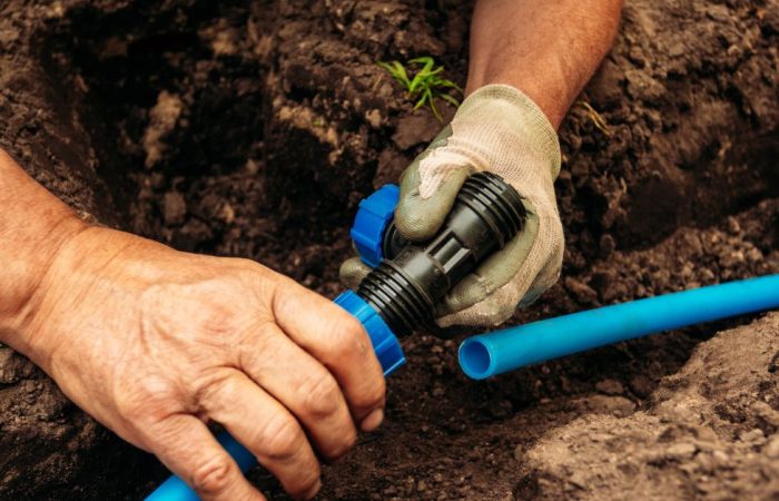 Backyard Drainage